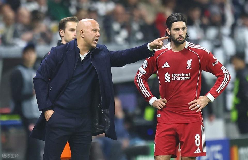 范迪克帮助, mvN